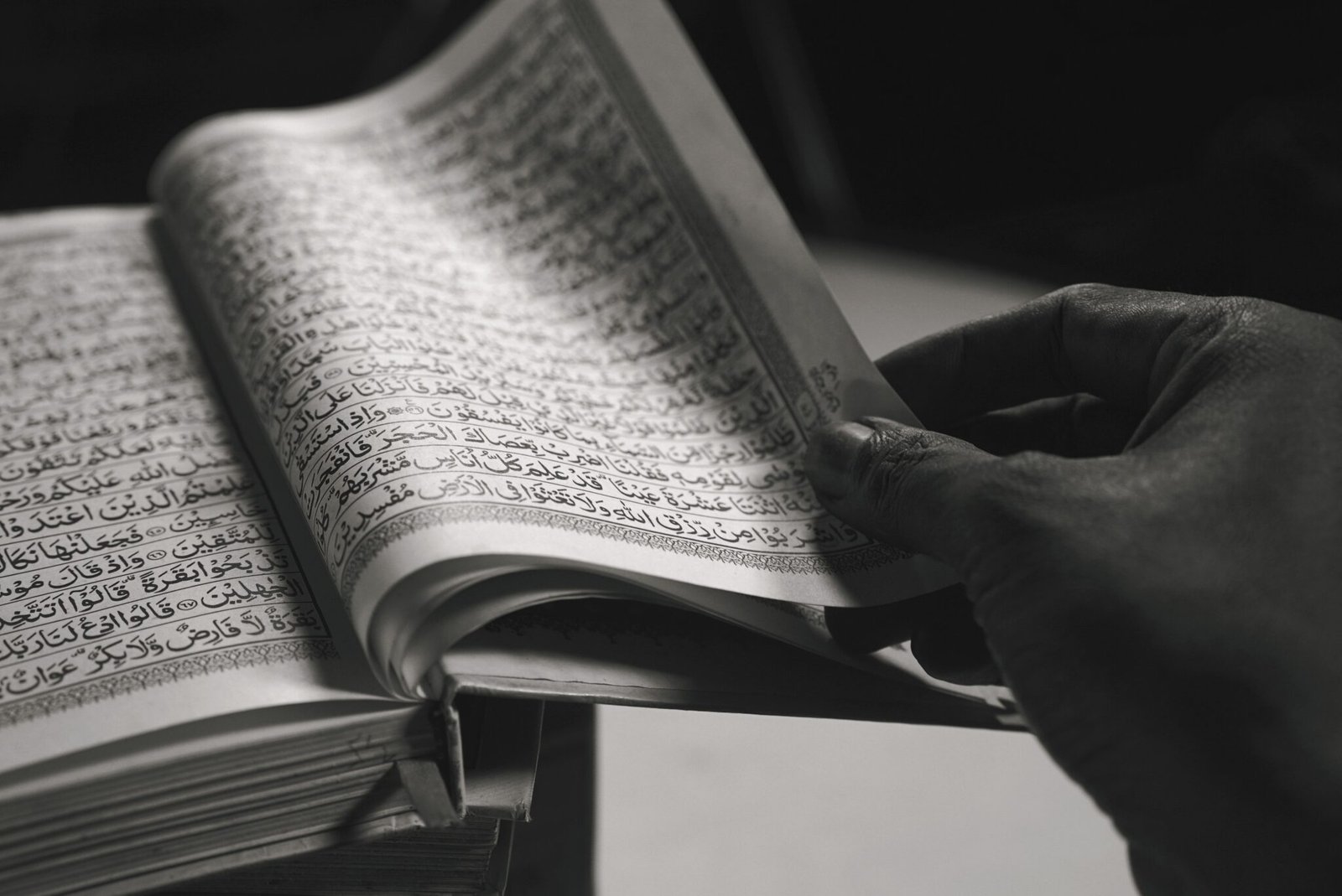 Ilustrasi artikel tadarus al-quran